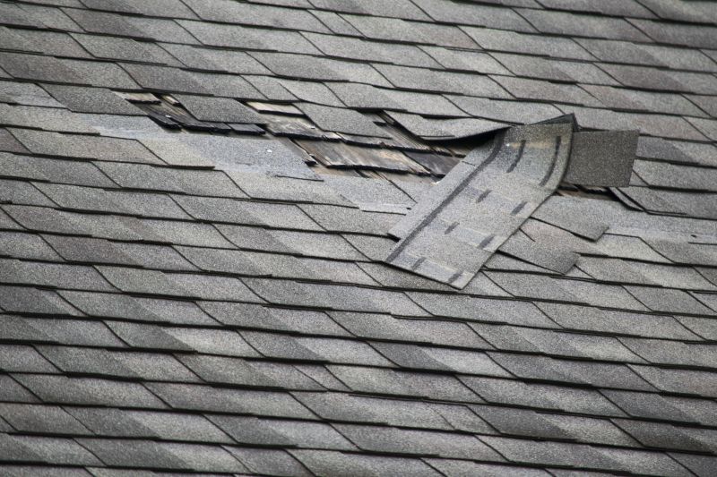 Roof Repair Service