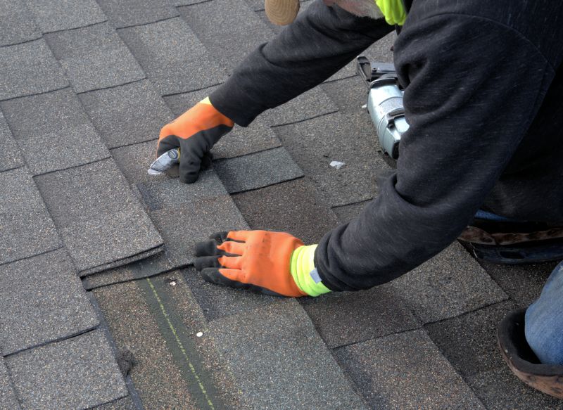 Shingles Repair